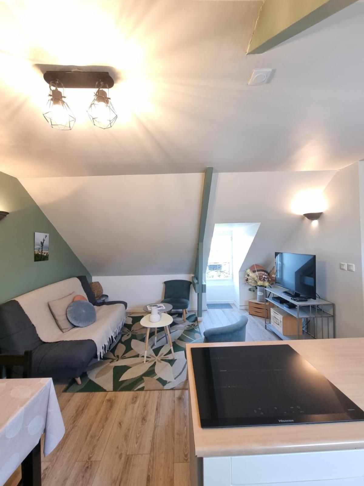 Havre Marin Du Centre Lumineux, Spacieux A 5 Min De La Appartement