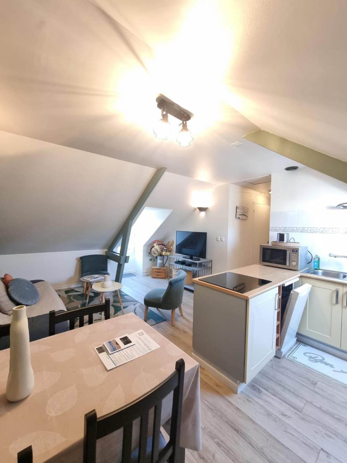 Havre Marin Du Centre Lumineux, Spacieux A 5 Min De La Appartement Dinard